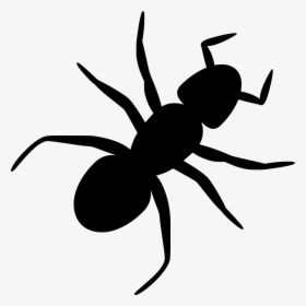 Ant Clip Art, HD Png Download, Free Download