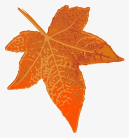 Large Fall Leaves Clipart, HD Png Download, Free Download