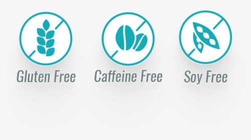 Icons, HD Png Download, Free Download