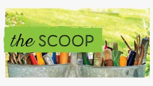 Gjj The Scoop, HD Png Download, Free Download