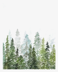 Woods Watercolor Printmaking Printing Painting Drawing - Watercolor Pine Trees Background, HD Png Download, Free Download