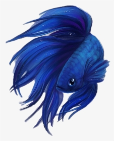 Blue Betta Fish Drawing , Png Download - Betta Fish Drawing Png, Transparent Png, Free Download