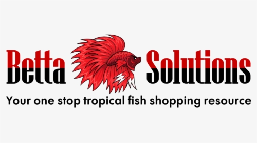 Betta Solutions - Illustration, HD Png Download, Free Download