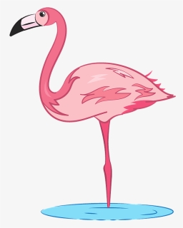 Flamingo Clip Art, HD Png Download, Free Download