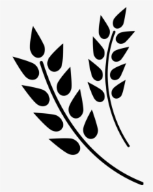Wheat Grain Icon - Wheat Icon Png, Transparent Png, Free Download