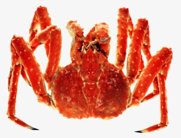 Carb Legs Png - King Crab Png, Transparent Png, Free Download
