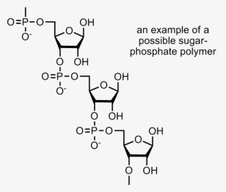 Carbohydrate Polymer Chemical Structure, HD Png Download, Free Download