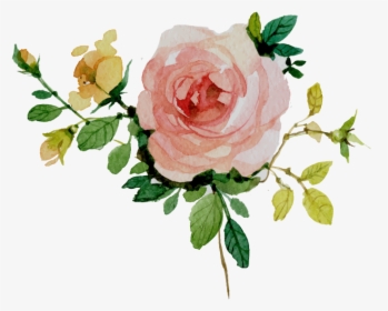 Vector Floral Watercolor Png, Transparent Png, Free Download