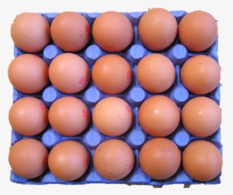Egg, HD Png Download, Free Download