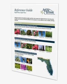 A Short And Sweet Florida Plant Reference Guide - Online Advertising, HD Png Download, Free Download