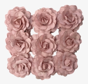 Garden Roses, HD Png Download, Free Download