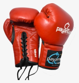 Boxing Gloves Lace Up - Amateur Boxing, HD Png Download, Free Download