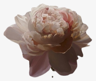 Aesthetic Flower Art Png Transparent Image - Brown Aesthetic Png Transparent, Png Download, Free Download