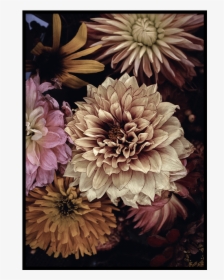 Autumn Flowers Poster - Plakat Opulent 5, HD Png Download, Free Download