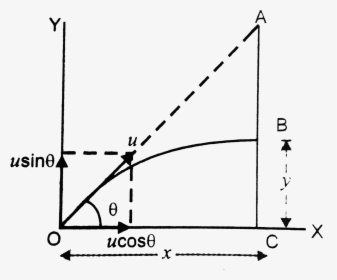 Diagram, HD Png Download, Free Download