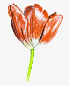 Transparent Tulip Flower Png - Realistic Tulip Flower Drawing, Png Download, Free Download
