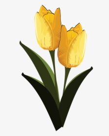 Clip Art Flor Flora Flower Png Image - Kvetina Art, Transparent Png, Free Download