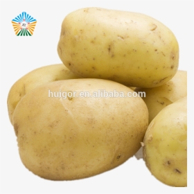 Good Quality Smooth New Fresh Potato With Yellow Inside - Russet Burbank Potato, HD Png Download, Free Download