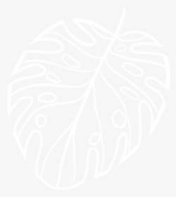 Monstera-white - Illustration, HD Png Download, Free Download