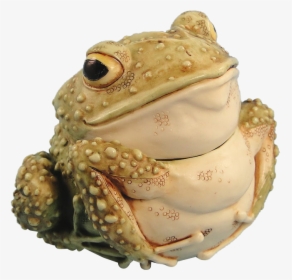 American Frog, HD Png Download, Free Download