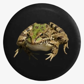 Frog Toad Realistic Jeep Camper Spare Tire Cover 35- - Southern Leopard Frog Png, Transparent Png, Free Download