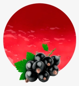 Blackcurrant Png Clipart - Black Currant Fruit Png, Transparent Png, Free Download