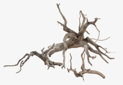 Png Scaper Root, Transparent Png, Free Download