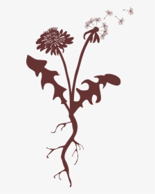 Taproot Image, HD Png Download, Free Download