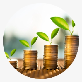 Growing Investment, HD Png Download, Free Download