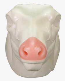 Pig Mask Png, Transparent Png, Free Download