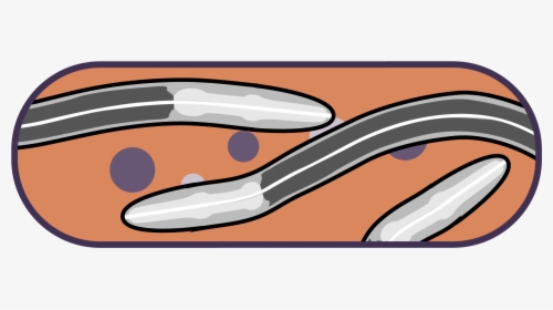 Clip Art, HD Png Download, Free Download