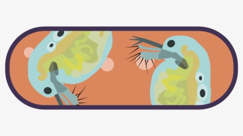 Illustration, HD Png Download, Free Download