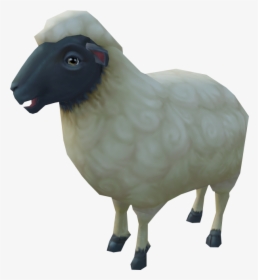 Sheep, HD Png Download, Free Download