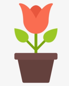 Tulip-plant - Flowerpot, HD Png Download, Free Download