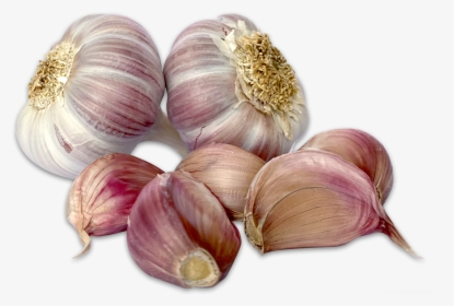 Garlic, HD Png Download, Free Download