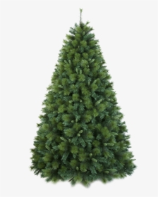 Artificial Christmas Tree Douglas Fir - Douglas Fir Tree Png, Transparent Png, Free Download