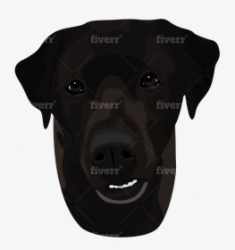 Labrador Retriever, HD Png Download, Free Download