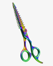 Rainbow Strip Png, Transparent Png, Free Download