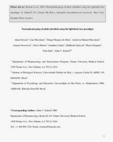 Document, HD Png Download, Free Download