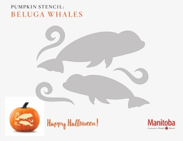 Beluga Whale Pumpkin Carving Stencil - Beluga Whale Pumpkin Carving, HD Png Download, Free Download
