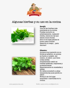 Gardening, HD Png Download, Free Download