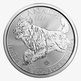 Collection Of Free Coin Drawing Old - 2018 Predator Silver Coin, HD Png Download, Free Download