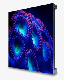 Fractal Art, HD Png Download, Free Download