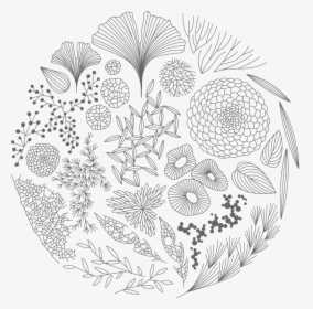 Vector Black And White Stock Moorigin Artistry Pinterest - Line Art, HD Png Download, Free Download