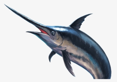 Image - Real Swordfish Transparent, HD Png Download, Free Download