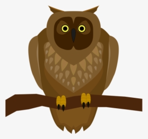 Bird Of Prey,owl,bird - Owl Sitting On A Branch Clipart, HD Png Download, Free Download