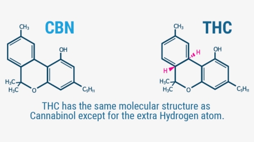 Cbn Vs Thc Molecule, HD Png Download, Free Download