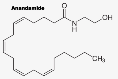 Anandamide - Structure, HD Png Download, Free Download