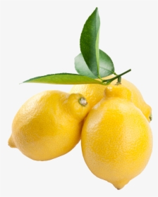 Lemon Png Image 97501 - Transparent Background Lemons Png, Png Download, Free Download