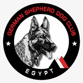 Logo - German Shepherd Dog Club Logo, HD Png Download, Free Download